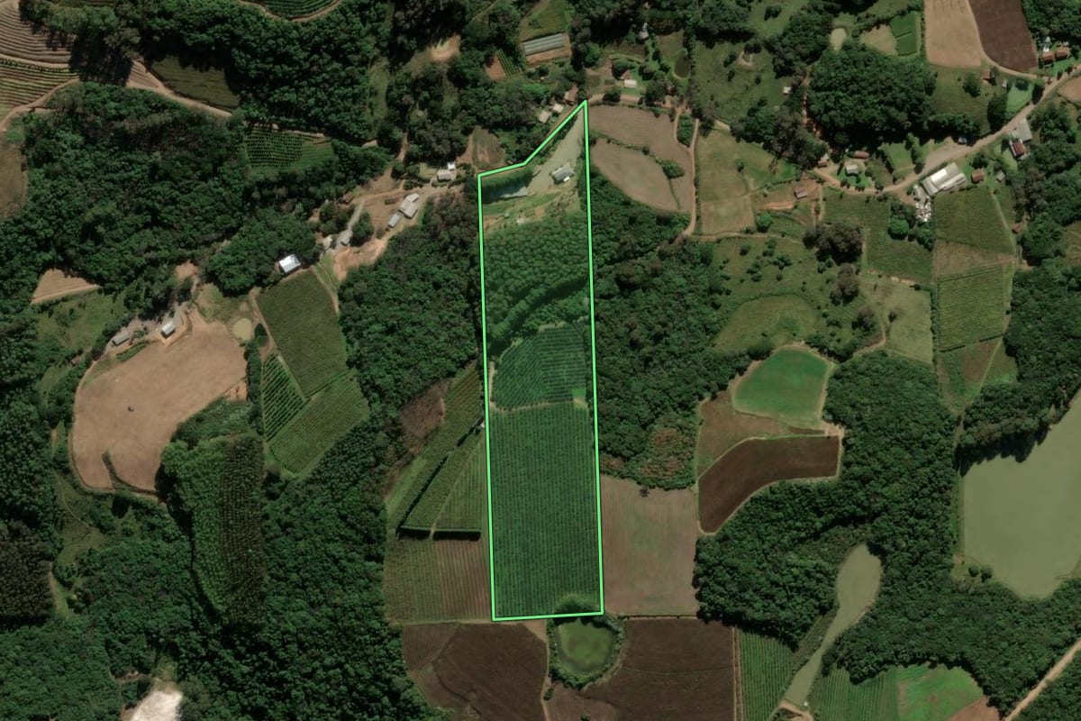 Imagem de satélite do imóvel rural em Antônio Prado (RS), com o contorno declarado no CAR desenhado por cima.