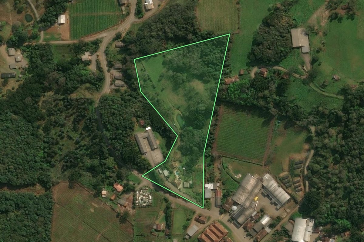 Imagem de satélite do imóvel rural em Antônio Prado (RS), com o contorno declarado no CAR desenhado por cima.