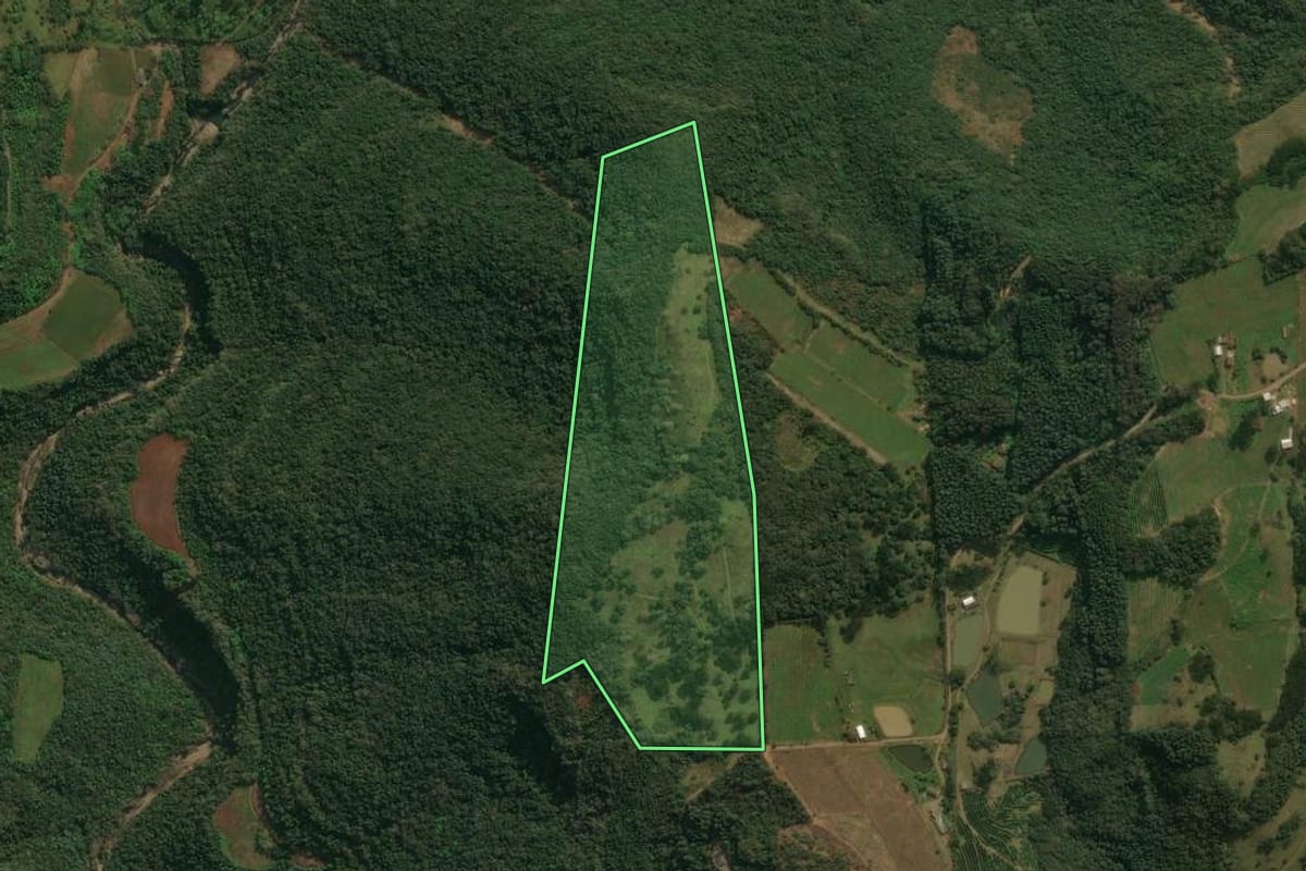 Imagem de satélite do imóvel rural em Antônio Prado (RS), com o contorno declarado no CAR desenhado por cima.