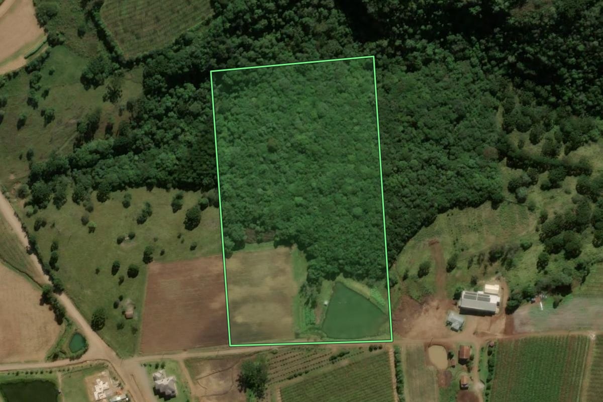 Imagem de satélite do imóvel rural em Antônio Prado (RS), com o contorno declarado no CAR desenhado por cima.