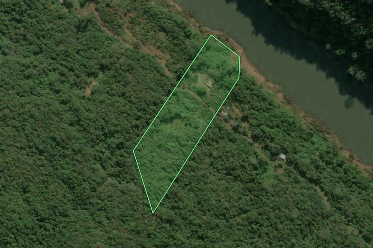 Imagem de satélite do imóvel rural em Antônio Prado (RS), com o contorno declarado no CAR desenhado por cima.