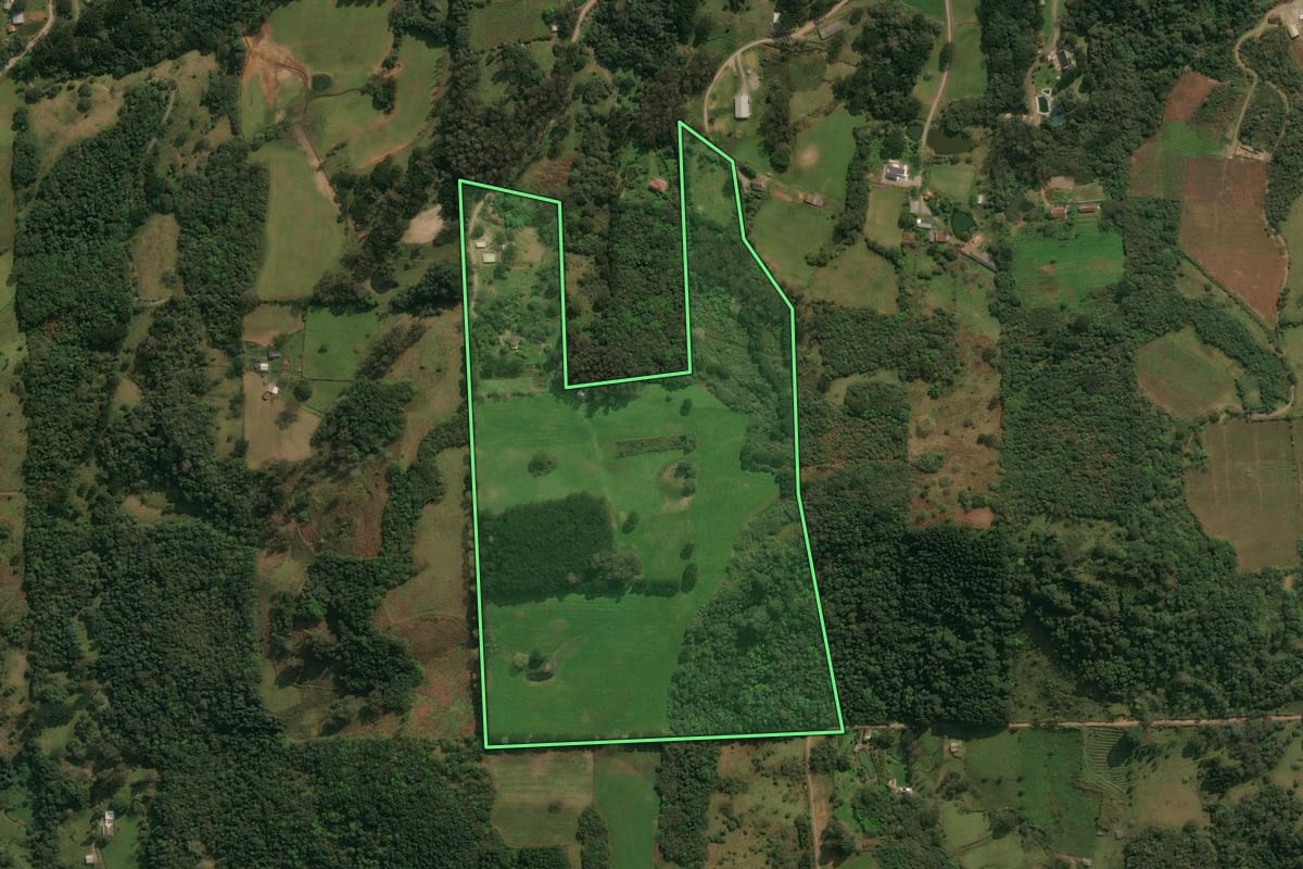 Imagem de satélite do imóvel rural em Antônio Prado (RS), com o contorno declarado no CAR desenhado por cima.