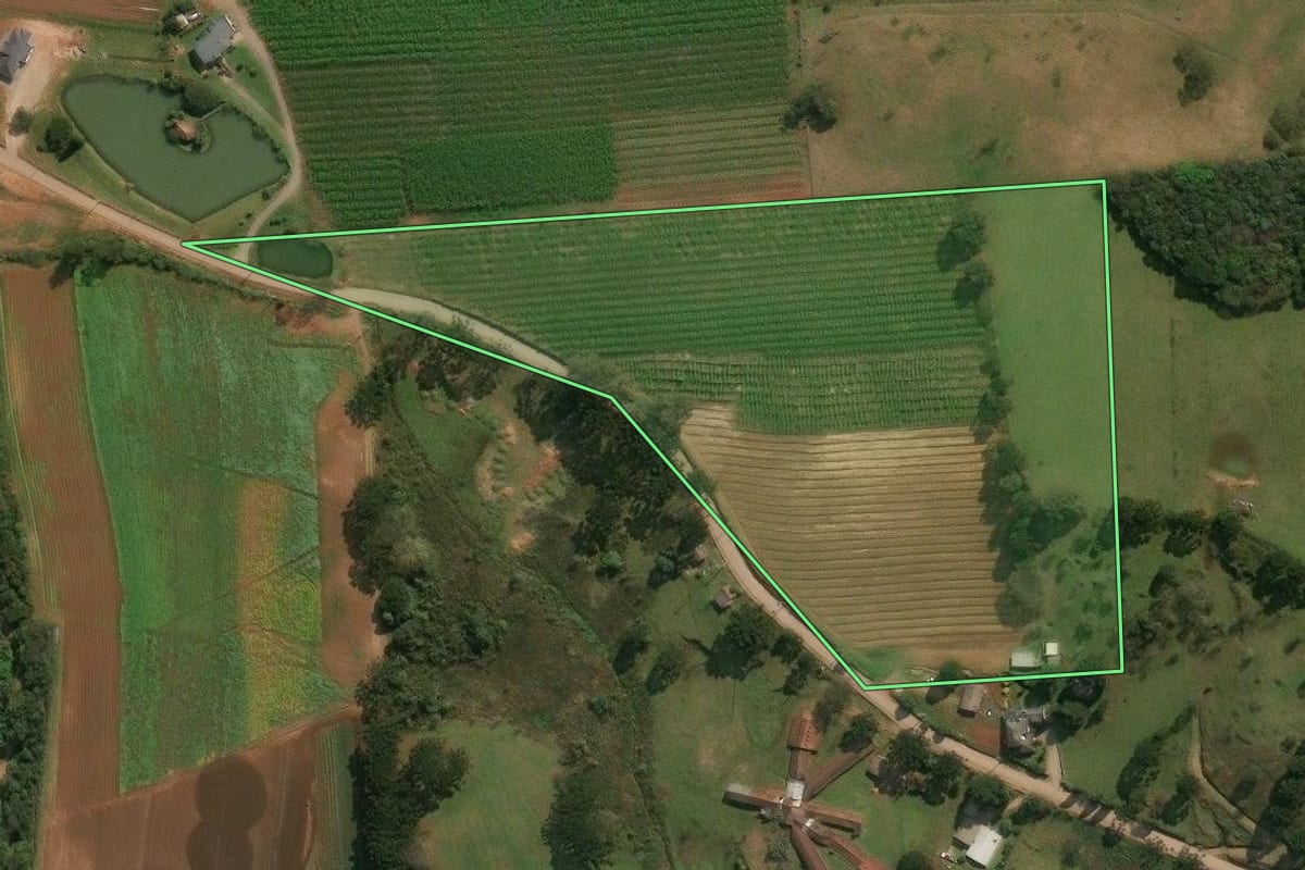 Imagem de satélite do imóvel rural em Antônio Prado (RS), com o contorno declarado no CAR desenhado por cima.