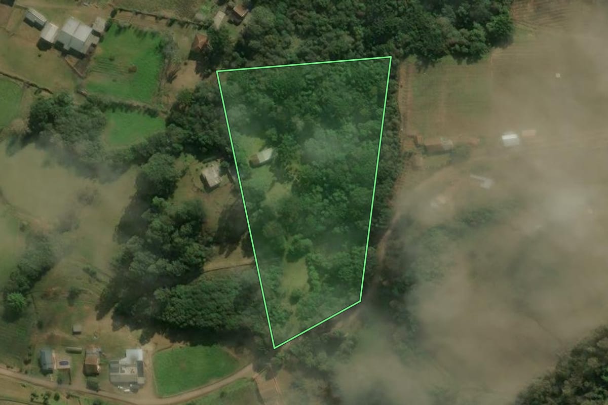 Imagem de satélite do imóvel rural em Antônio Prado (RS), com o contorno declarado no CAR desenhado por cima.