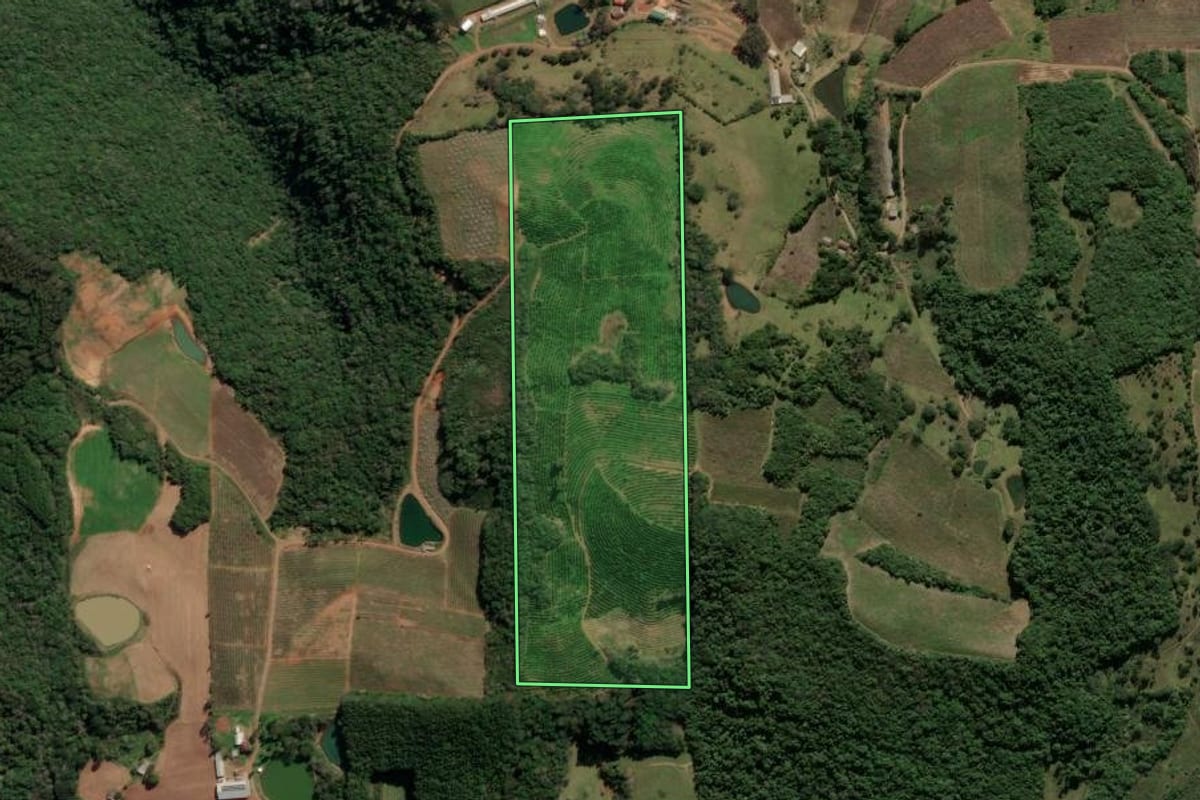 Imagem de satélite do imóvel rural em Antônio Prado (RS), com o contorno declarado no CAR desenhado por cima.