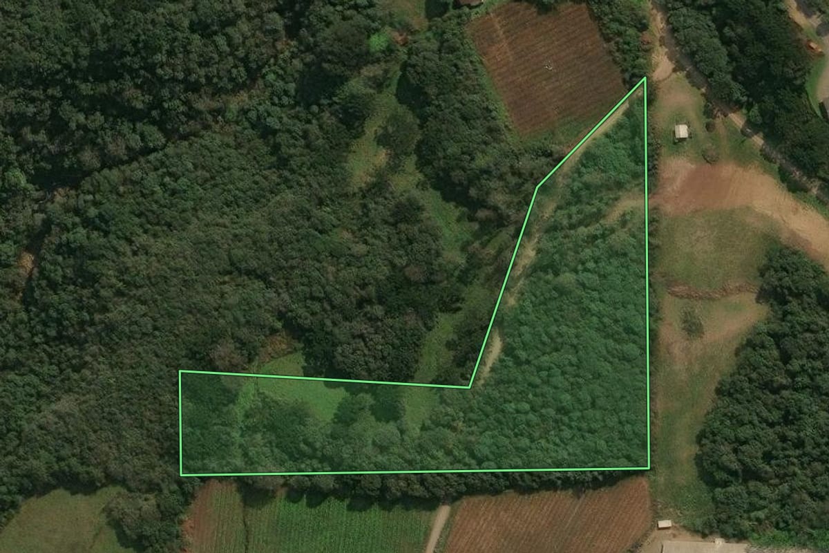 Imagem de satélite do imóvel rural em Antônio Prado (RS), com o contorno declarado no CAR desenhado por cima.