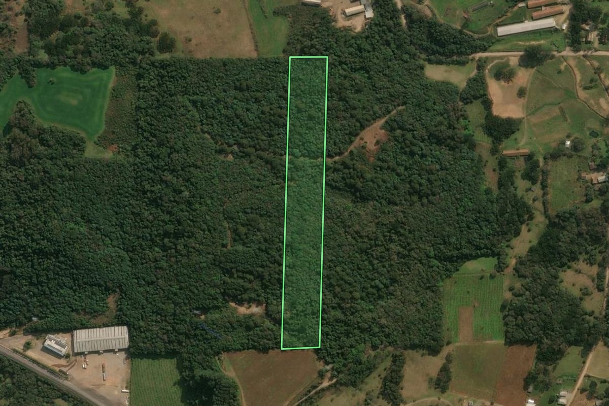 Imagem de satélite do imóvel rural em Antônio Prado (RS), com o contorno declarado no CAR desenhado por cima.