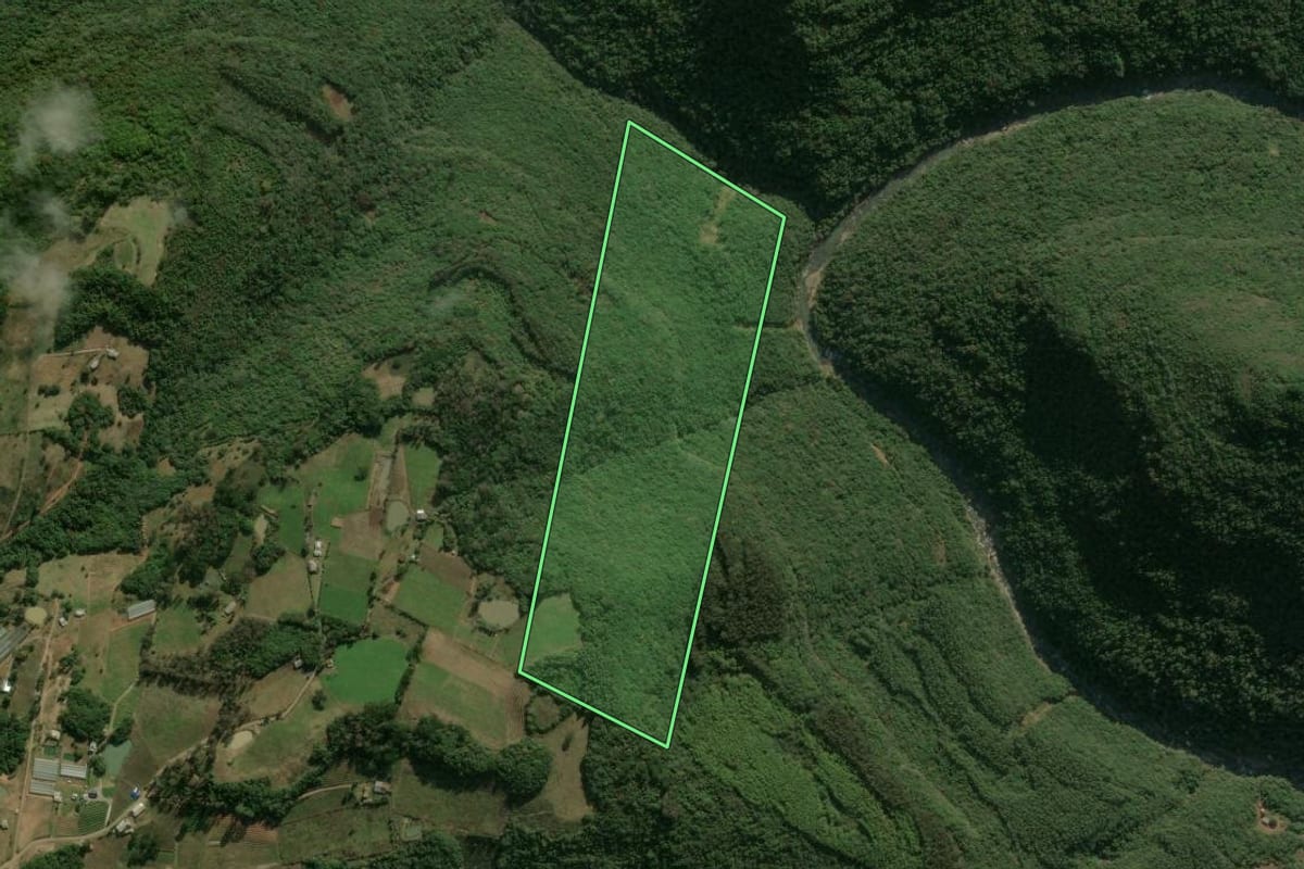 Imagem de satélite do imóvel rural em Antônio Prado (RS), com o contorno declarado no CAR desenhado por cima.