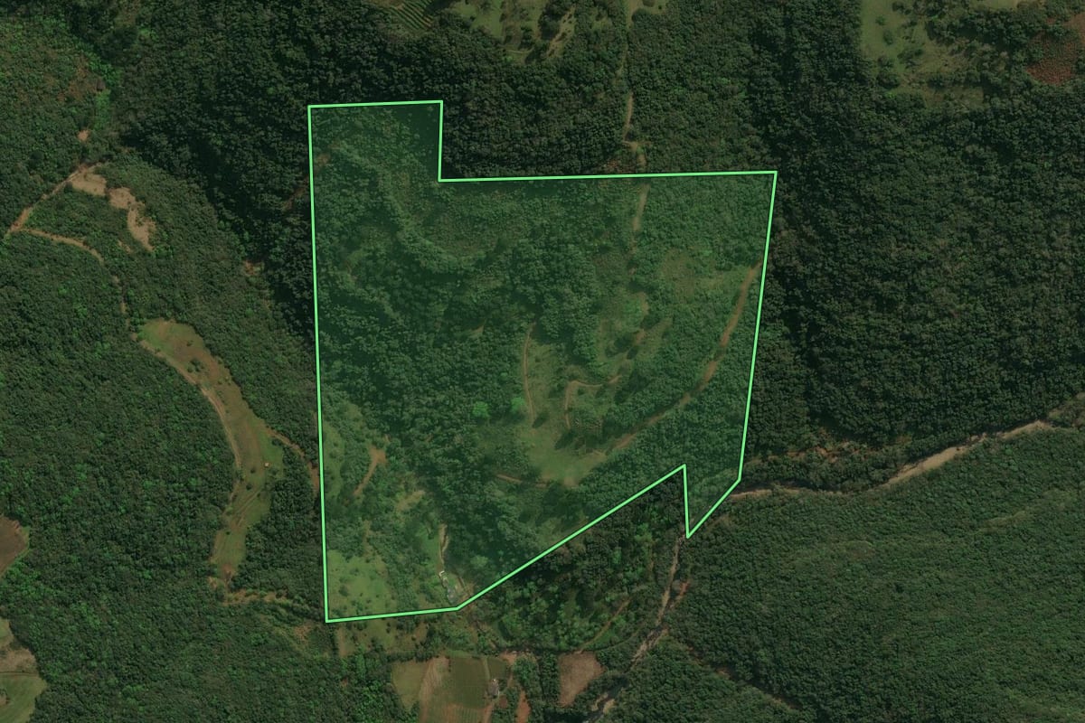 Imagem de satélite do imóvel rural em Antônio Prado (RS), com o contorno declarado no CAR desenhado por cima.