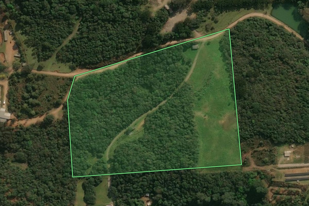 Imagem de satélite do imóvel rural em Antônio Prado (RS), com o contorno declarado no CAR desenhado por cima.