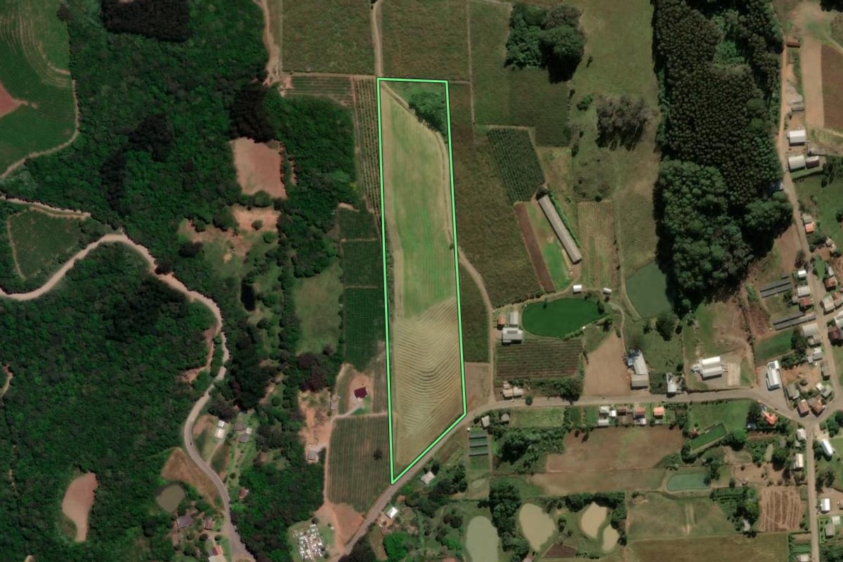 Imagem de satélite do imóvel rural em Antônio Prado (RS), com o contorno declarado no CAR desenhado por cima.