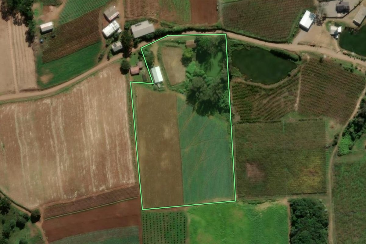 Imagem de satélite do imóvel rural em Antônio Prado (RS), com o contorno declarado no CAR desenhado por cima.