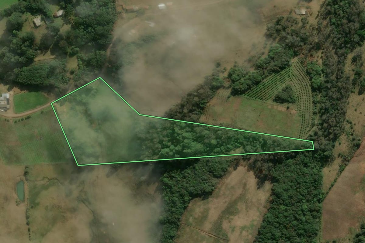 Imagem de satélite do imóvel rural em Antônio Prado (RS), com o contorno declarado no CAR desenhado por cima.