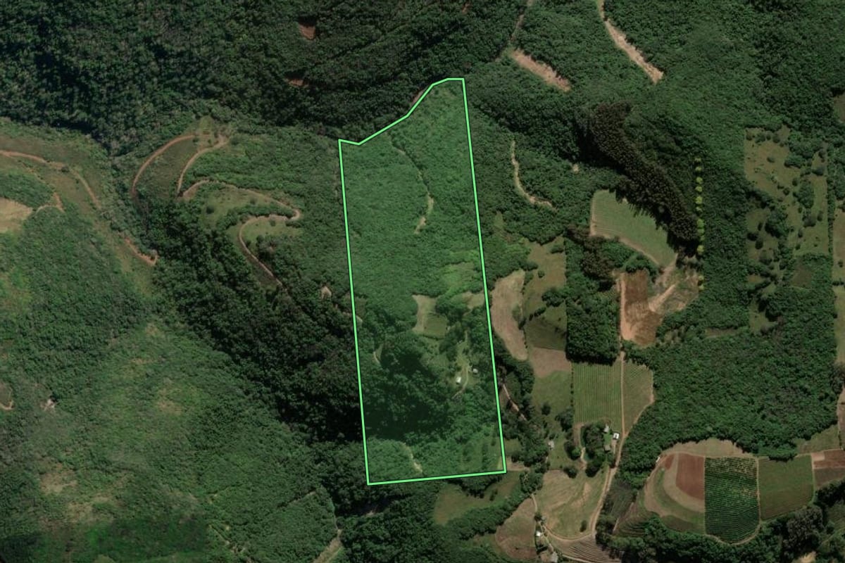 Imagem de satélite do imóvel rural em Antônio Prado (RS), com o contorno declarado no CAR desenhado por cima.