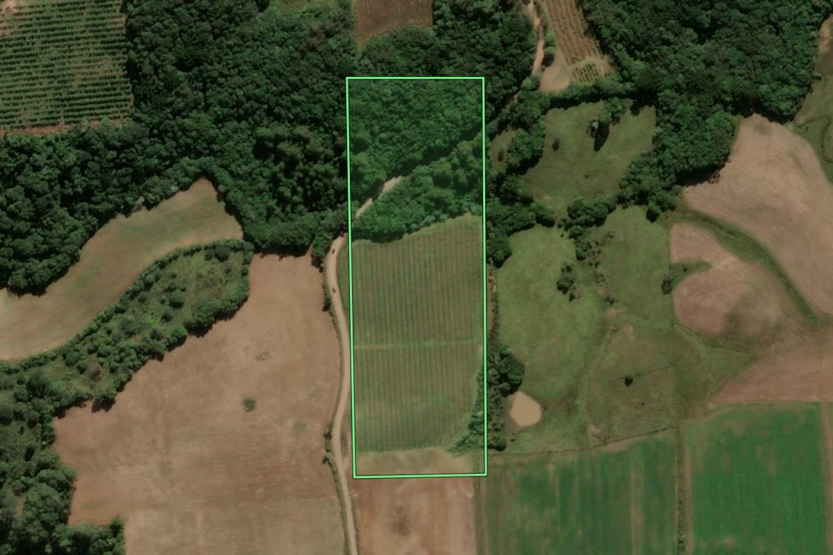 Imagem de satélite do imóvel rural em Antônio Prado (RS), com o contorno declarado no CAR desenhado por cima.
