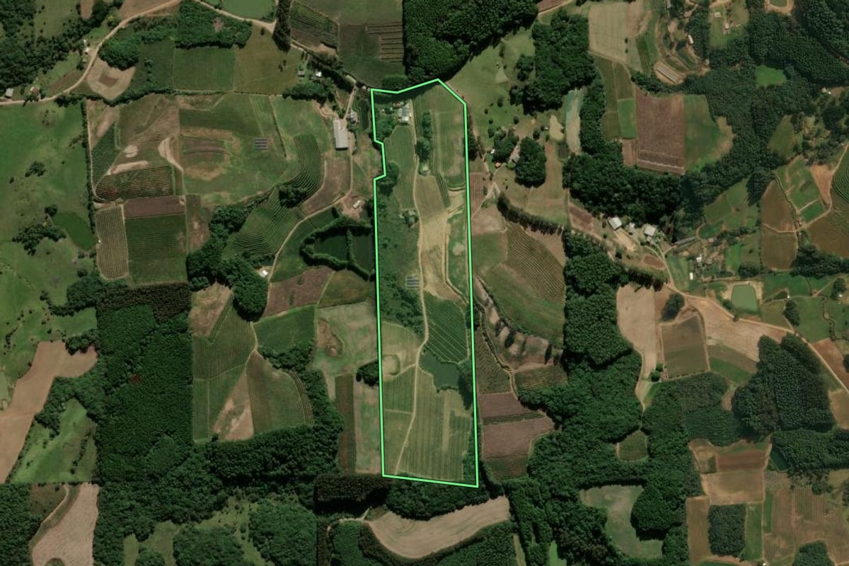 Imagem de satélite do imóvel rural em Antônio Prado (RS), com o contorno declarado no CAR desenhado por cima.
