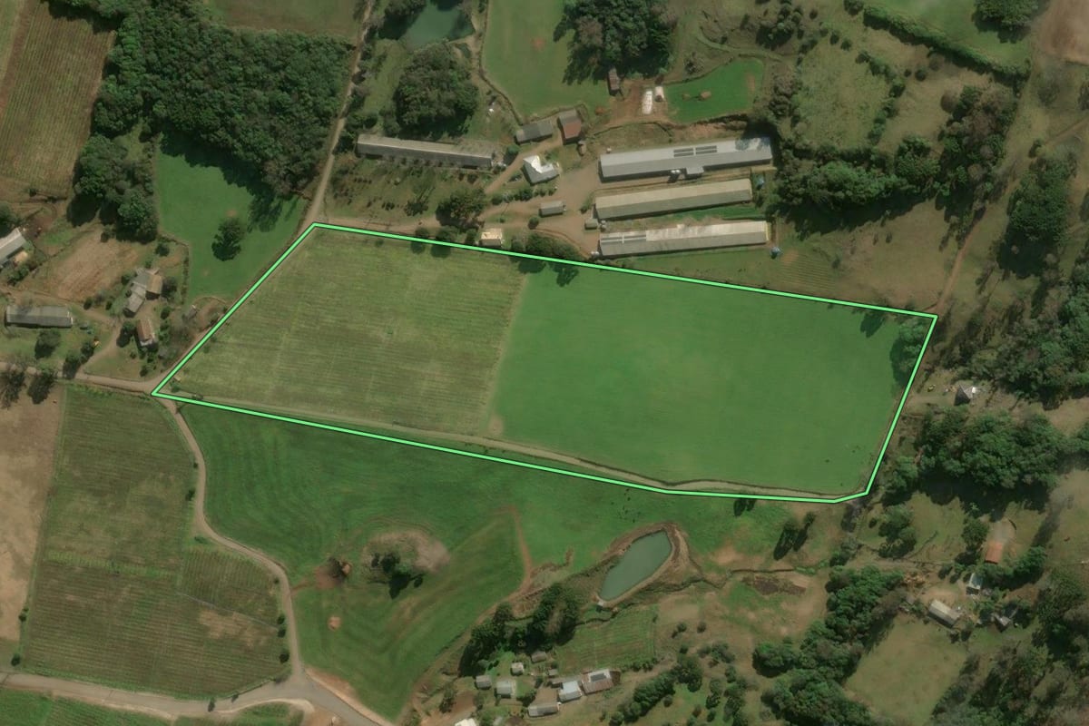 Imagem de satélite do imóvel rural em Antônio Prado (RS), com o contorno declarado no CAR desenhado por cima.