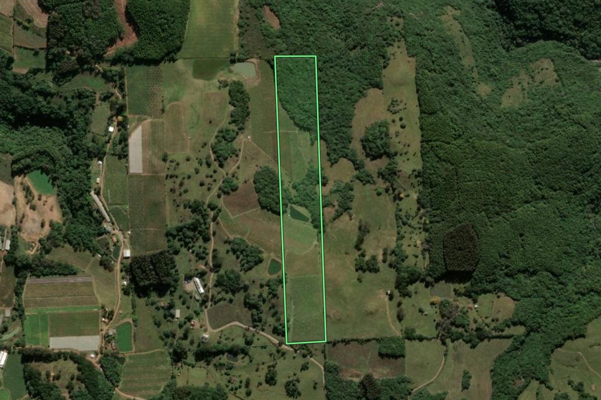 Imagem de satélite do imóvel rural em Antônio Prado (RS), com o contorno declarado no CAR desenhado por cima.