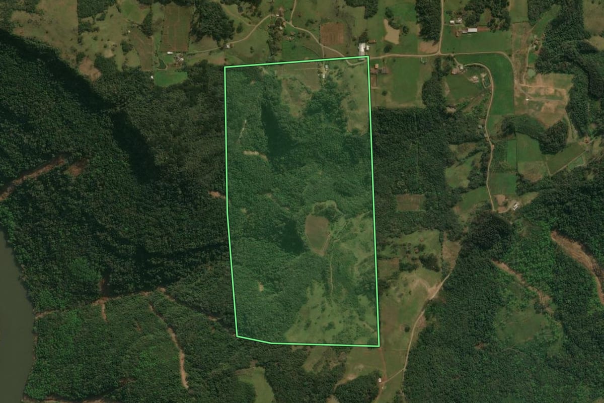 Imagem de satélite do imóvel rural em Antônio Prado (RS), com o contorno declarado no CAR desenhado por cima.
