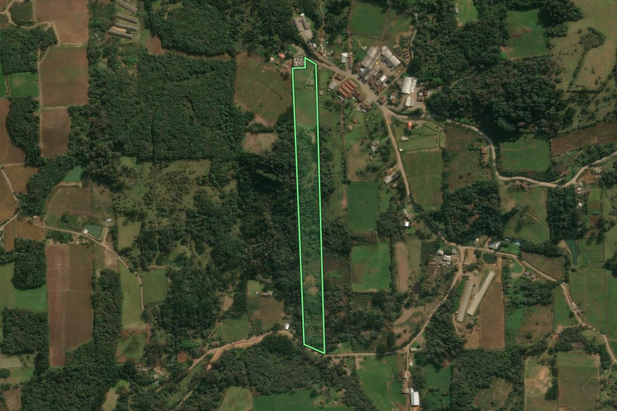 Imagem de satélite do imóvel rural em Antônio Prado (RS), com o contorno declarado no CAR desenhado por cima.