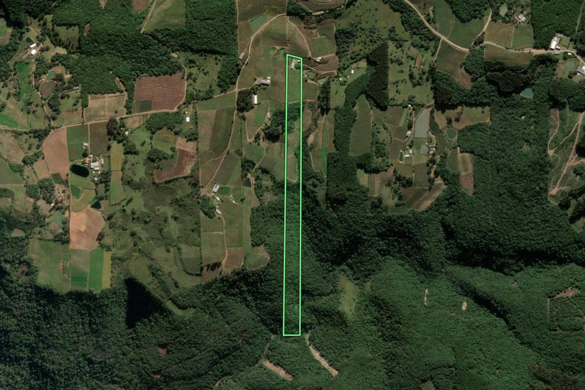 Imagem de satélite do imóvel rural em Antônio Prado (RS), com o contorno declarado no CAR desenhado por cima.