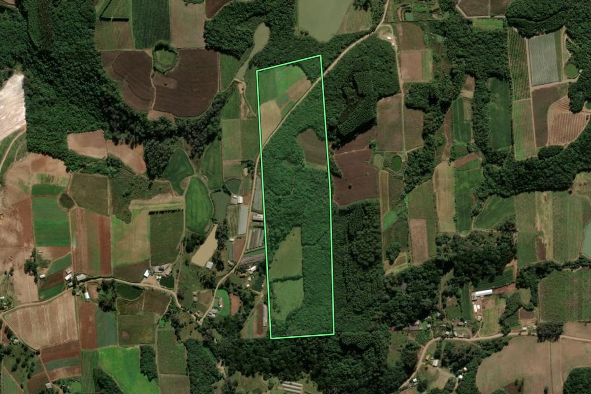 Imagem de satélite do imóvel rural em Antônio Prado (RS), com o contorno declarado no CAR desenhado por cima.