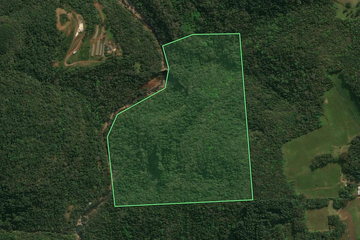 Imagem de satélite do imóvel rural em Antônio Prado (RS), com o contorno declarado no CAR desenhado por cima.