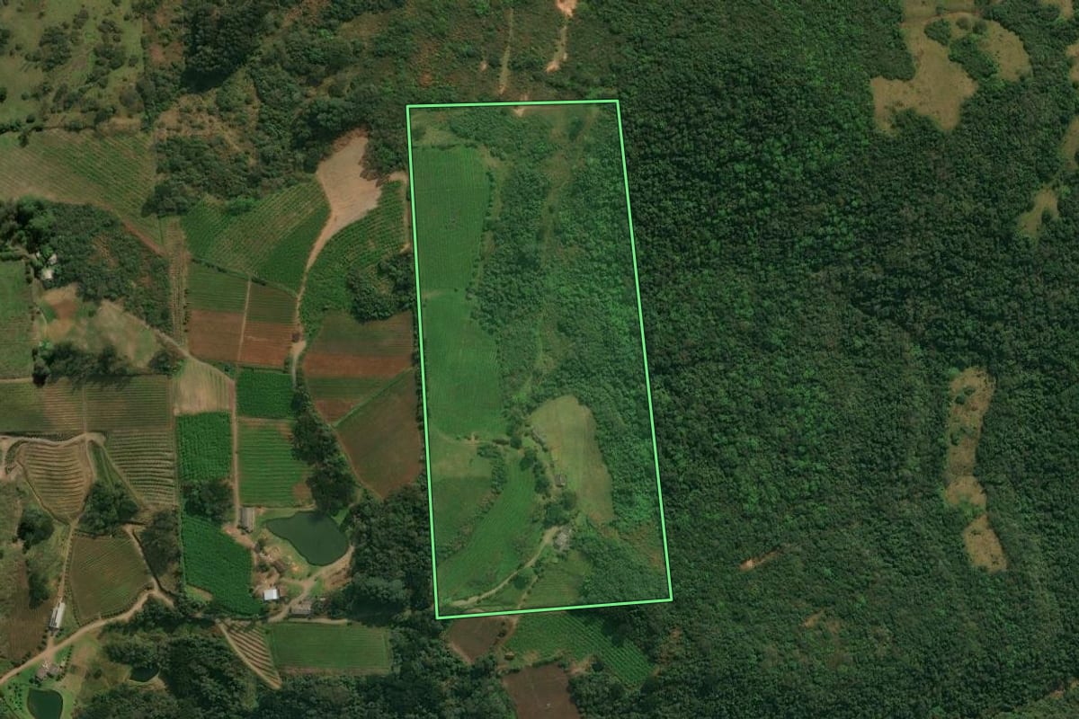 Imagem de satélite do imóvel rural em Antônio Prado (RS), com o contorno declarado no CAR desenhado por cima.