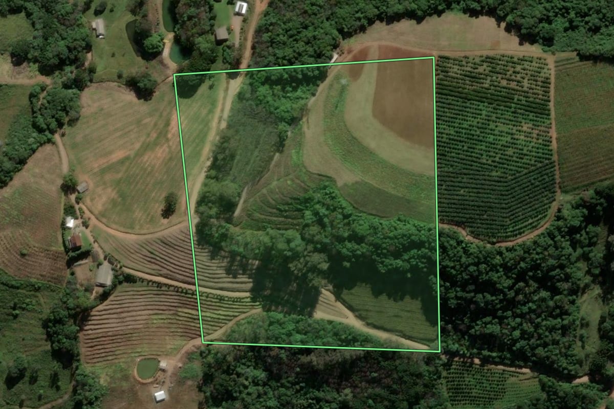 Imagem de satélite do imóvel rural em Antônio Prado (RS), com o contorno declarado no CAR desenhado por cima.