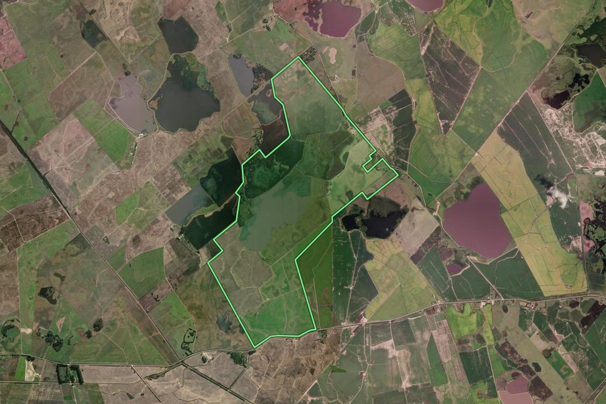 Imagem de satélite do imóvel rural em Arambaré (RS), com o contorno declarado no CAR desenhado por cima.