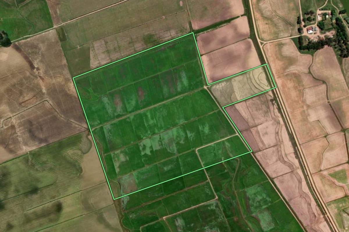 Imagem de satélite do imóvel rural em Arambaré (RS), com o contorno declarado no CAR desenhado por cima.