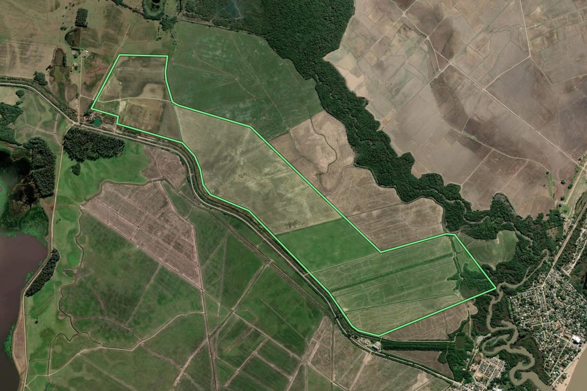 Imagem de satélite do imóvel rural em Arambaré (RS), com o contorno declarado no CAR desenhado por cima.