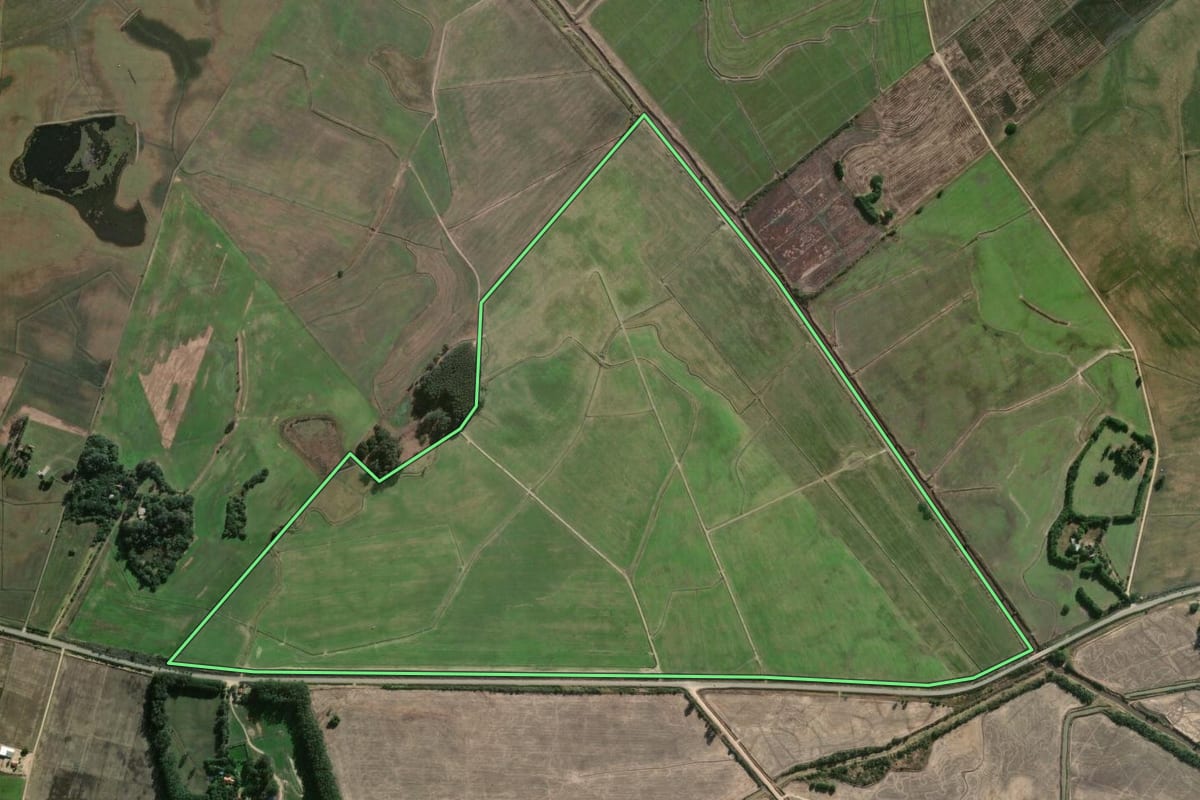 Imagem de satélite do imóvel rural em Arambaré (RS), com o contorno declarado no CAR desenhado por cima.