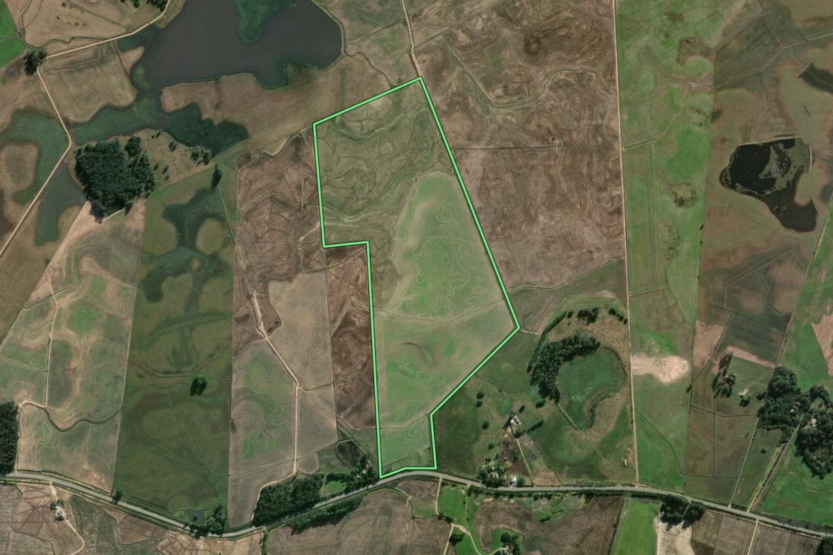 Imagem de satélite do imóvel rural em Arambaré (RS), com o contorno declarado no CAR desenhado por cima.
