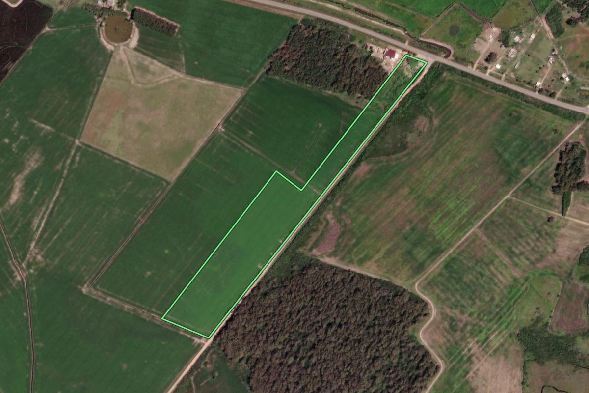 Imagem de satélite do imóvel rural em Arambaré (RS), com o contorno declarado no CAR desenhado por cima.