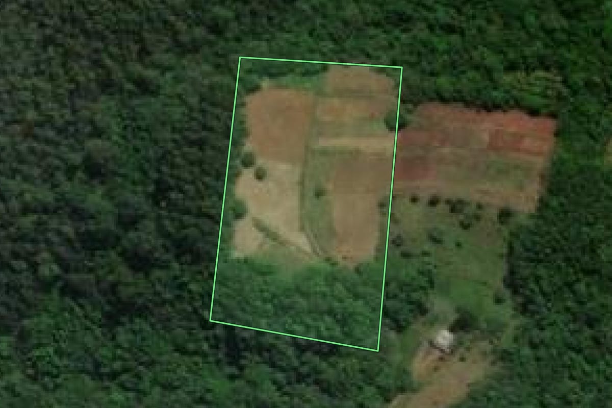 Imagem de satélite do imóvel rural em Araricá (RS), com o contorno declarado no CAR desenhado por cima.