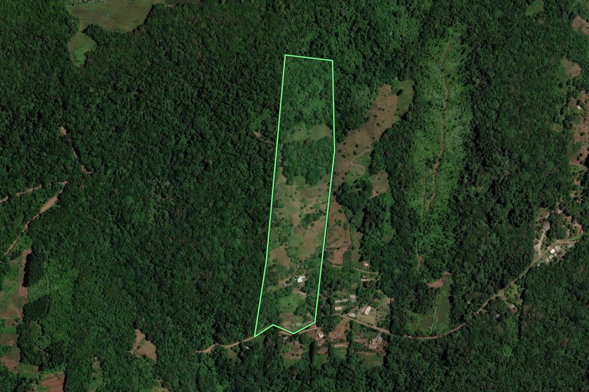 Imagem de satélite do imóvel rural em Araricá (RS), com o contorno declarado no CAR desenhado por cima.