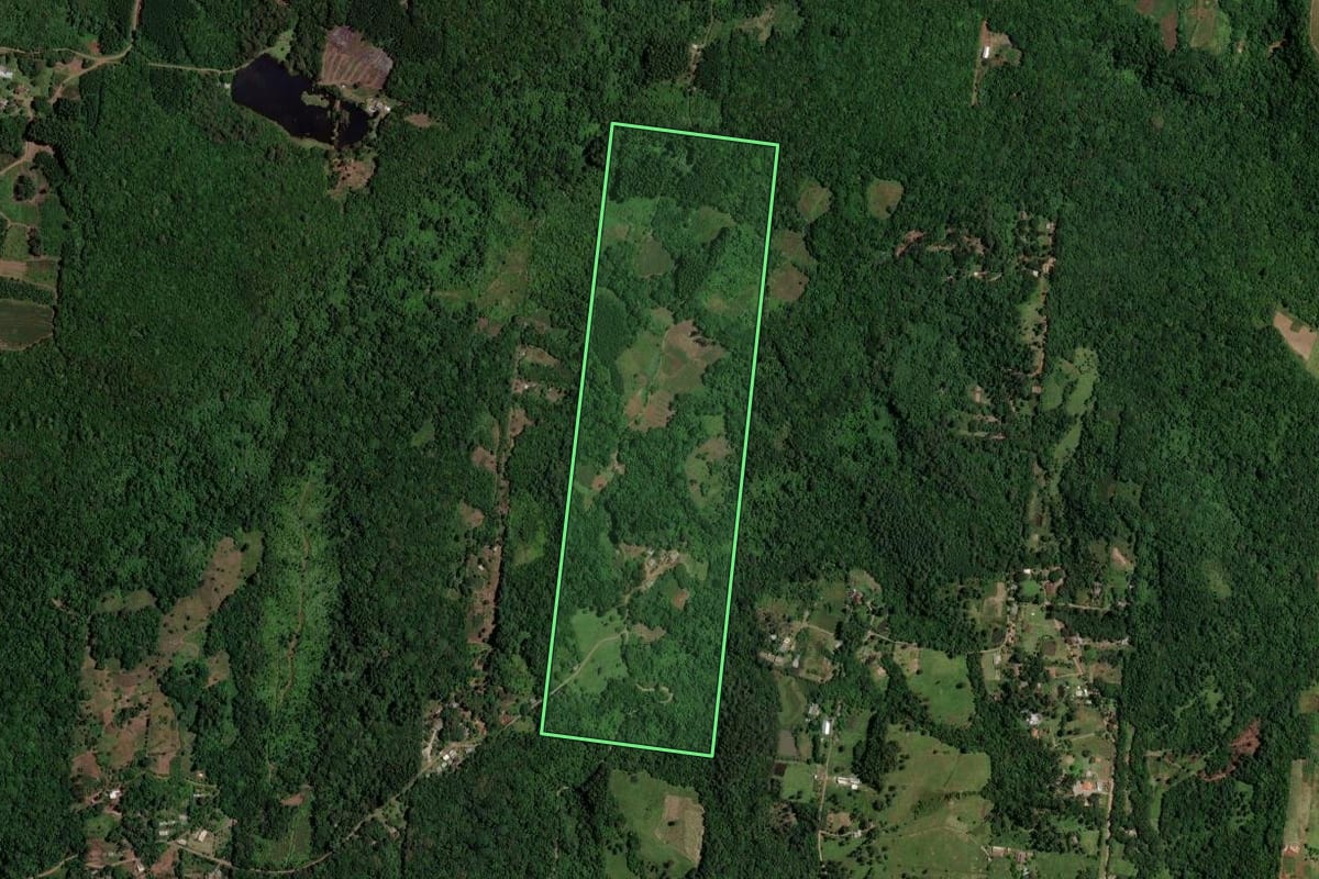 Imagem de satélite do imóvel rural em Araricá (RS), com o contorno declarado no CAR desenhado por cima.