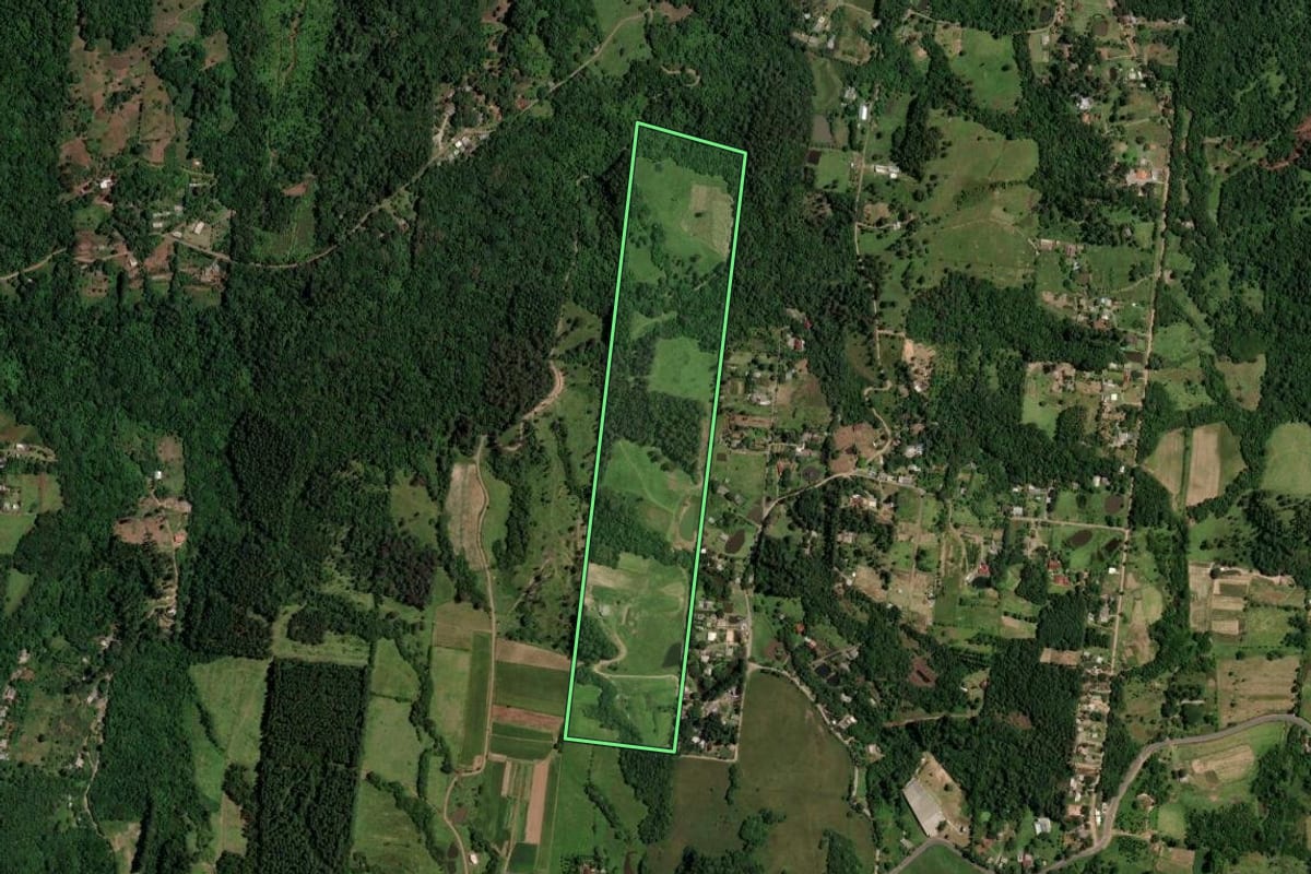 Imagem de satélite do imóvel rural em Araricá (RS), com o contorno declarado no CAR desenhado por cima.