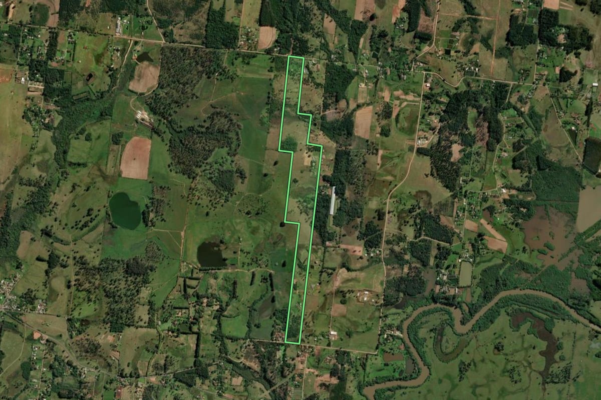 Imagem de satélite do imóvel rural em Araricá (RS), com o contorno declarado no CAR desenhado por cima.