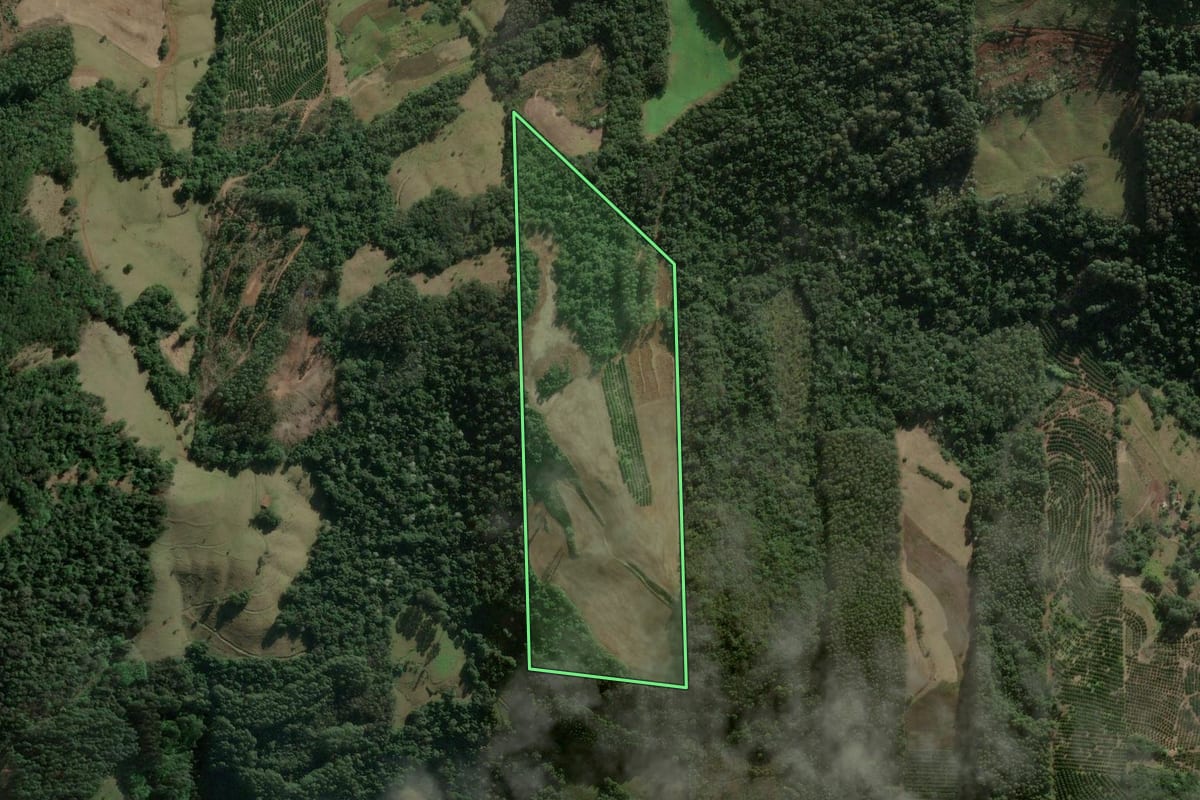 Imagem de satélite do imóvel rural em Aratiba (RS), com o contorno declarado no CAR desenhado por cima.