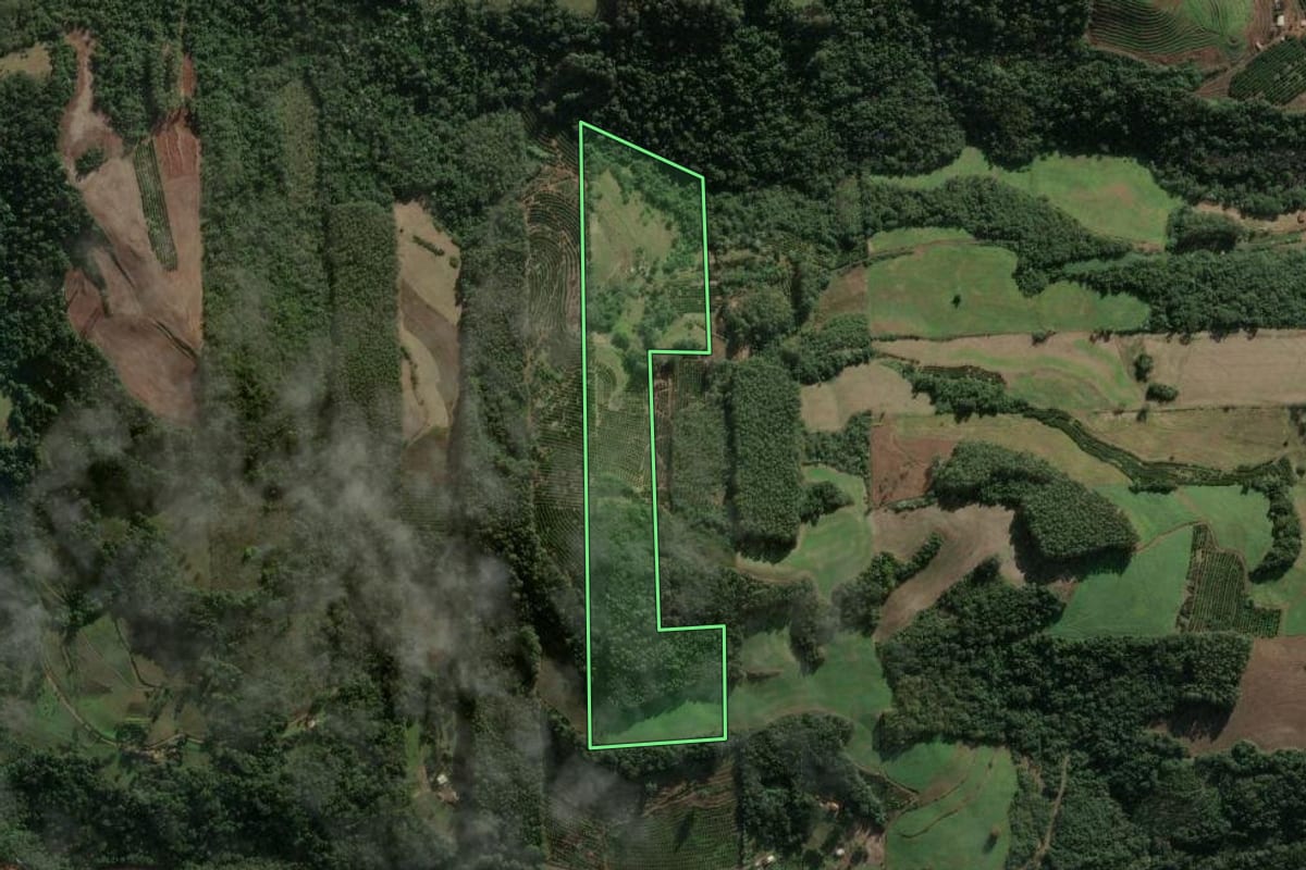 Imagem de satélite do imóvel rural em Aratiba (RS), com o contorno declarado no CAR desenhado por cima.