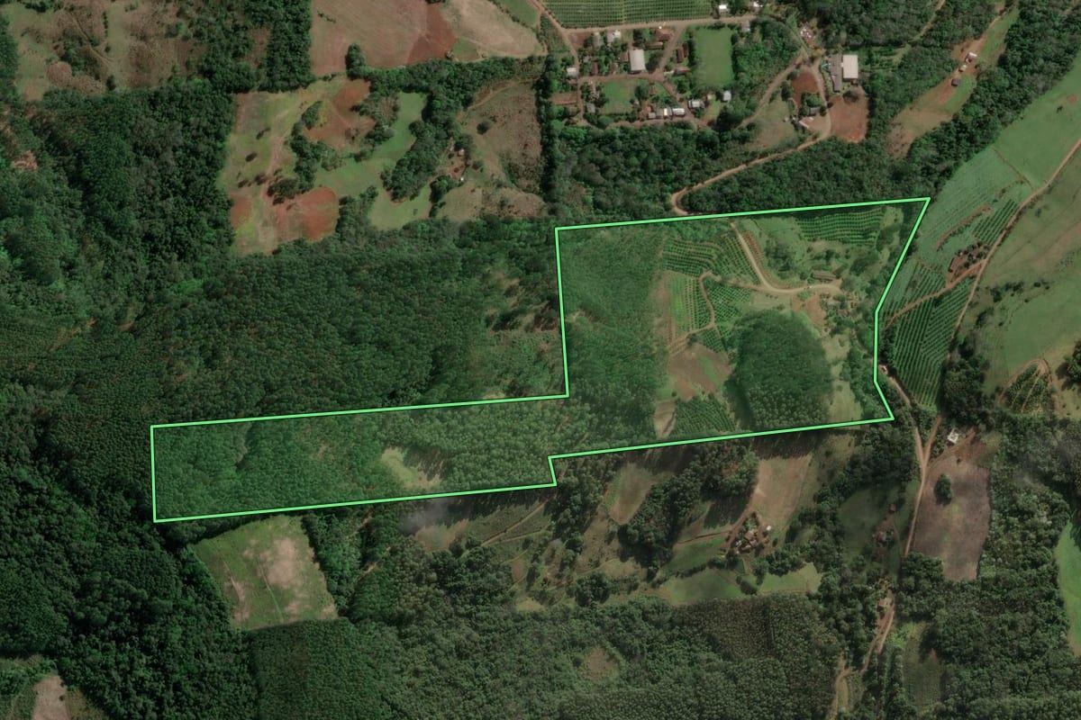 Imagem de satélite do imóvel rural em Aratiba (RS), com o contorno declarado no CAR desenhado por cima.