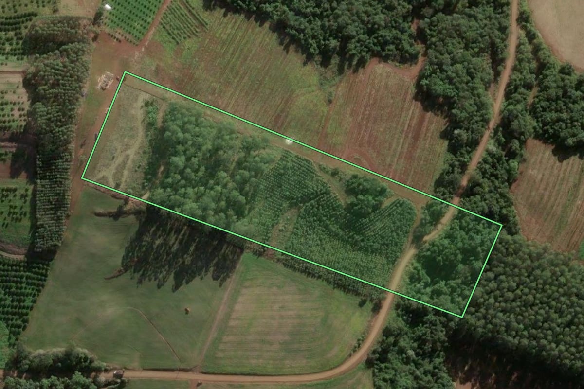 Imagem de satélite do imóvel rural em Aratiba (RS), com o contorno declarado no CAR desenhado por cima.