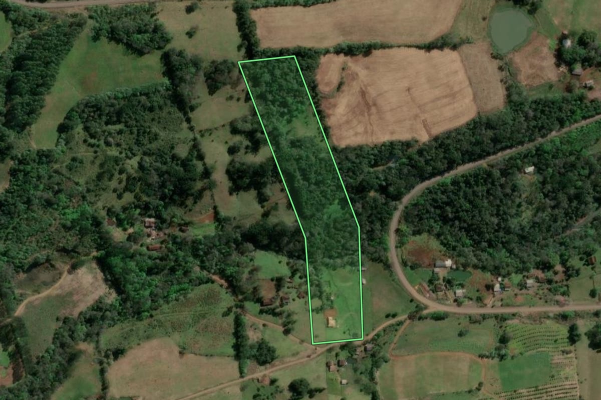 Imagem de satélite do imóvel rural em Aratiba (RS), com o contorno declarado no CAR desenhado por cima.