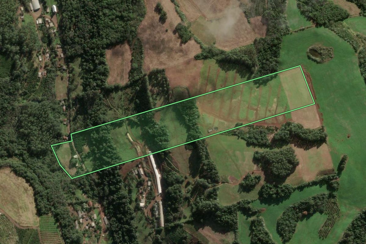Imagem de satélite do imóvel rural em Aratiba (RS), com o contorno declarado no CAR desenhado por cima.
