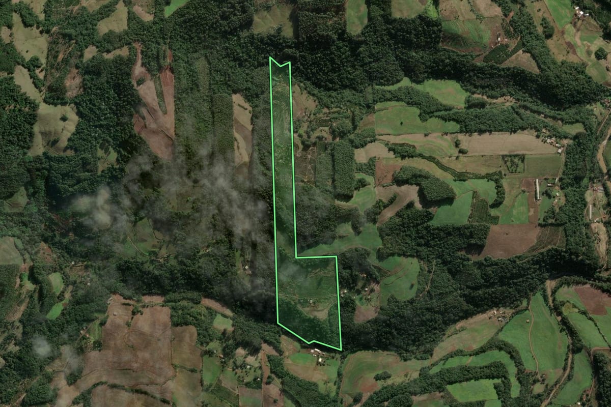 Imagem de satélite do imóvel rural em Aratiba (RS), com o contorno declarado no CAR desenhado por cima.