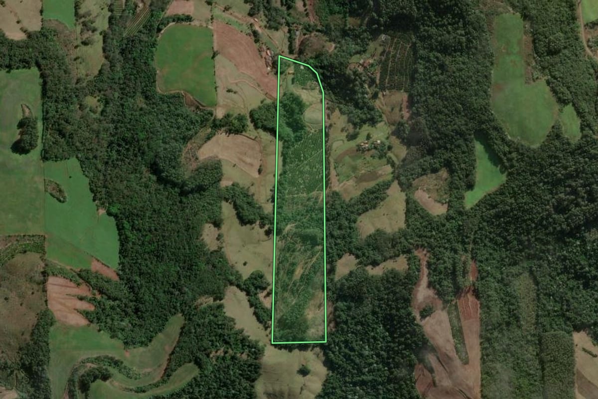 Imagem de satélite do imóvel rural em Aratiba (RS), com o contorno declarado no CAR desenhado por cima.