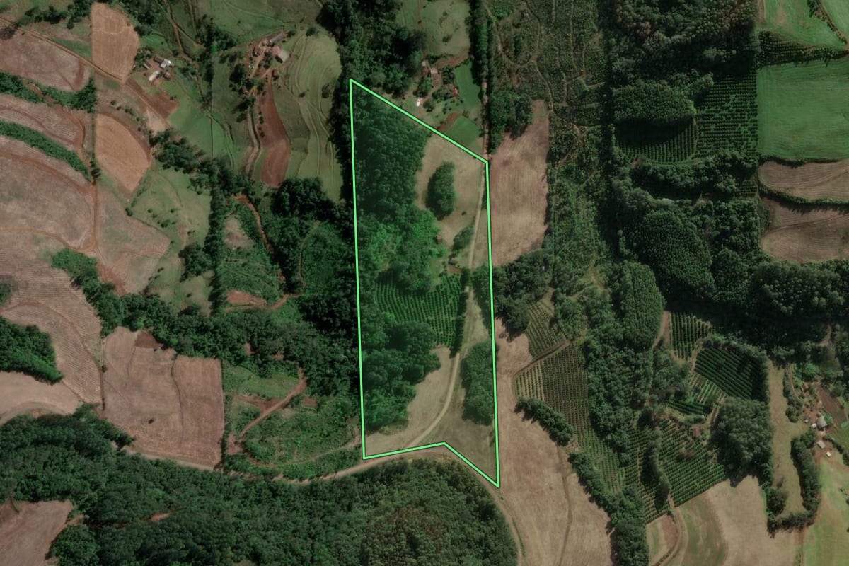 Imagem de satélite do imóvel rural em Aratiba (RS), com o contorno declarado no CAR desenhado por cima.