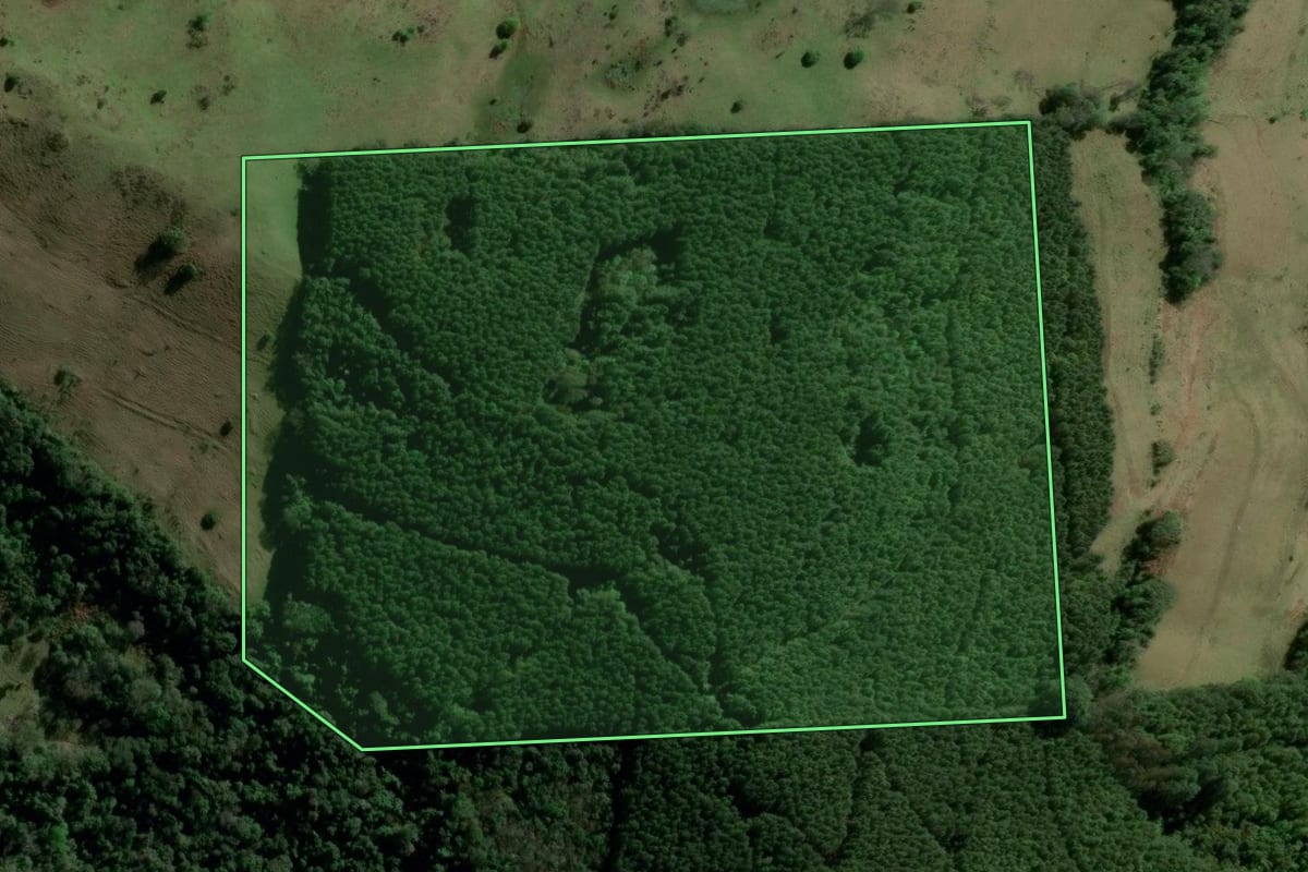 Imagem de satélite do imóvel rural em Aratiba (RS), com o contorno declarado no CAR desenhado por cima.